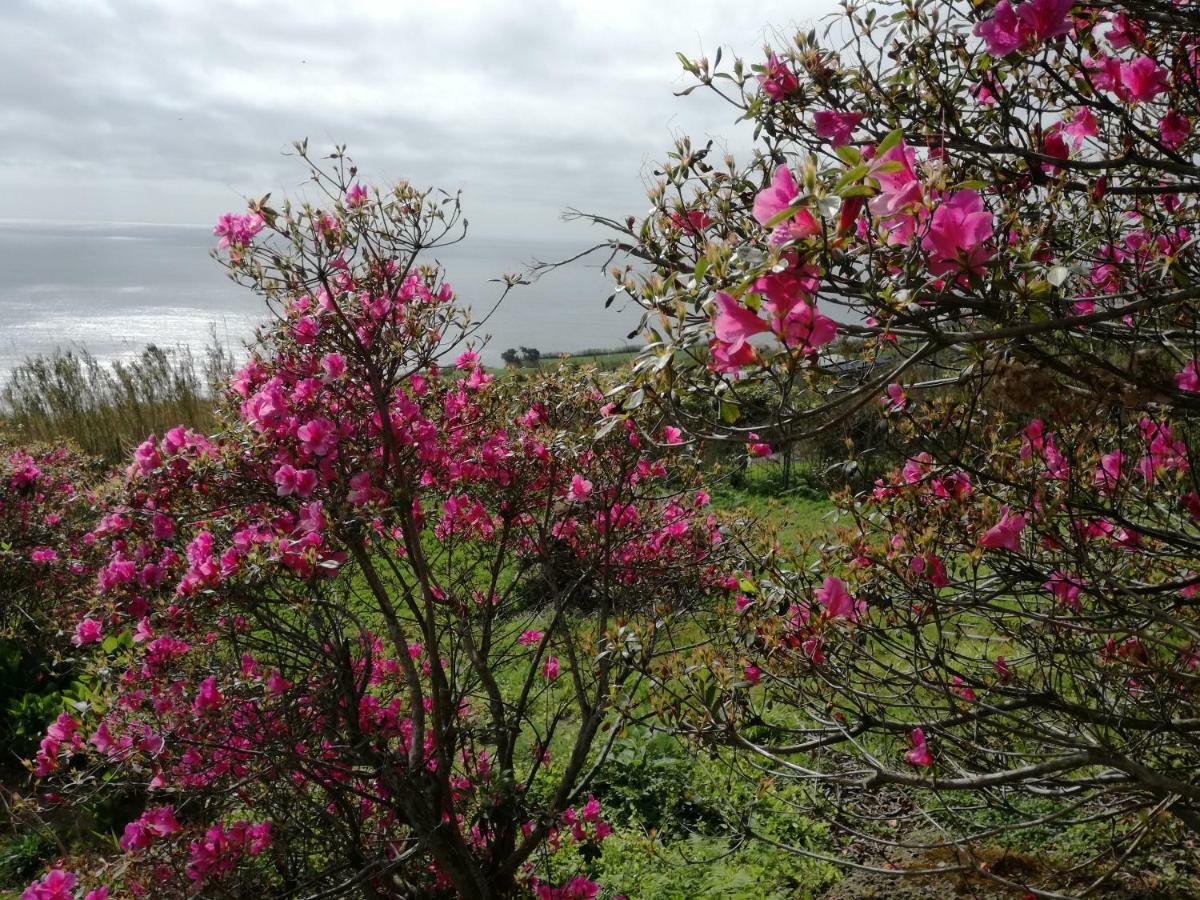 Quinta Do Sol Poente Villa Feteiras Luaran gambar